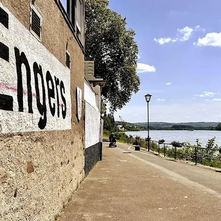 Tiny With Spacious Terrace On The Rhine