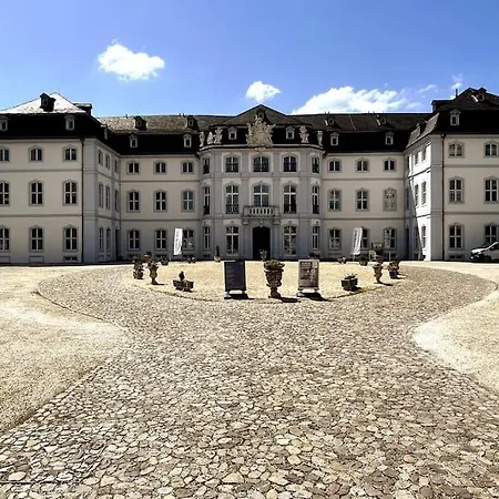 Tiny With Spacious Terrace On The Rhine