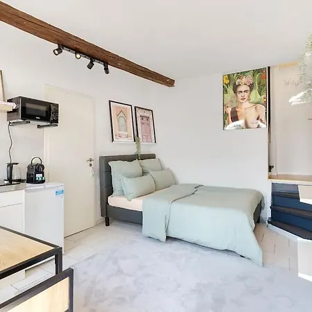 Tiny With Spacious Terrace On The Rhine Neuwied