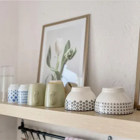 Tiny With Spacious Terrace On The Rhine Apartamento