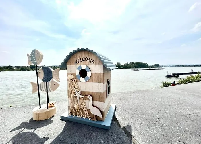 Tiny With Spacious Terrace On The Rhine * 新维德