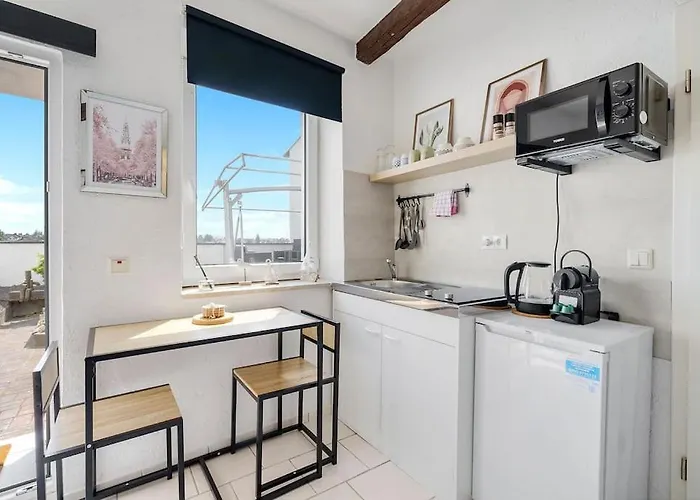 Tiny With Spacious Terrace On The Rhine 公寓 新维德