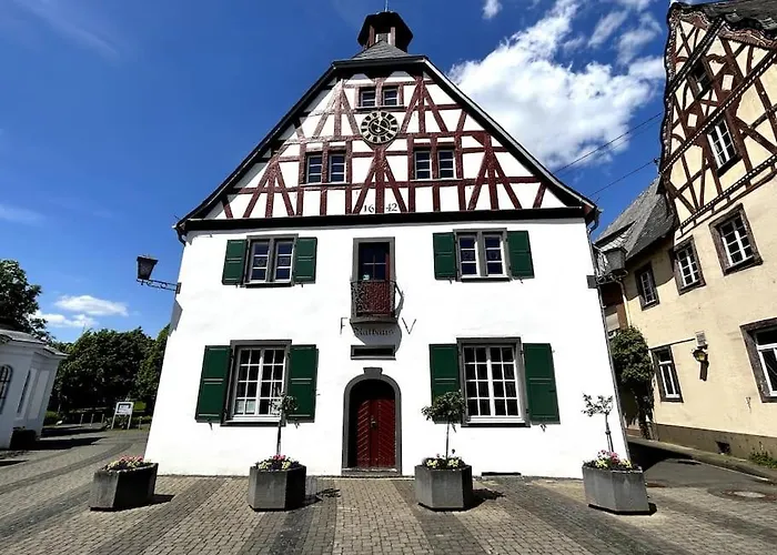 Tiny With Spacious Terrace On The Rhine 新维德