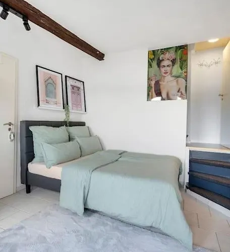 Tiny With Spacious Terrace On The Rhine 公寓 *