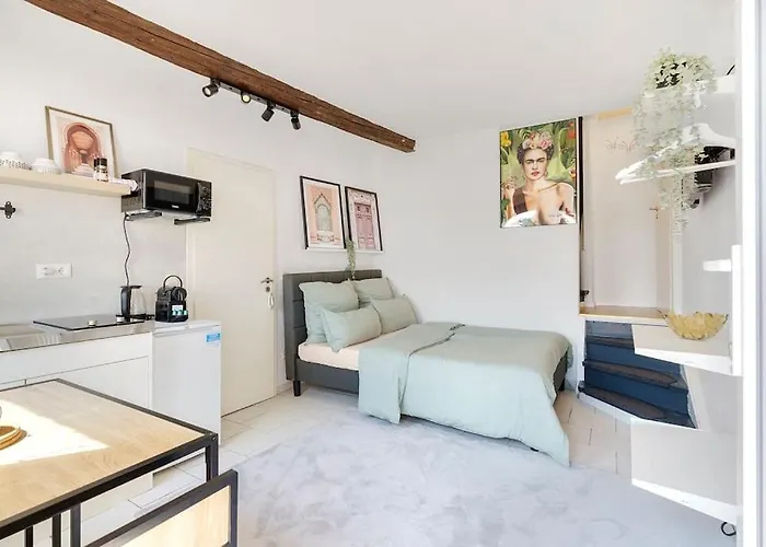 Tiny With Spacious Terrace On The Rhine 新维德