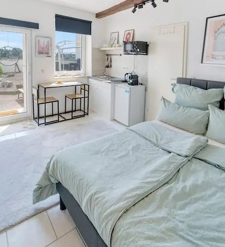 Tiny With Spacious Terrace On The Rhine *